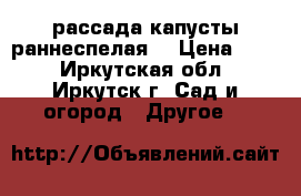 рассада капусты раннеспелая. › Цена ­ 15 - Иркутская обл., Иркутск г. Сад и огород » Другое   